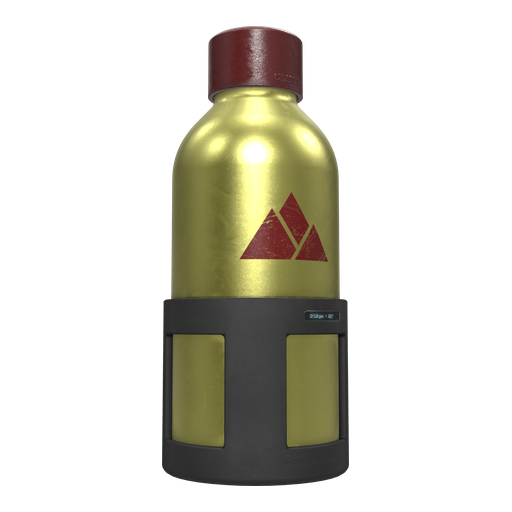 Insulated Water Bottle